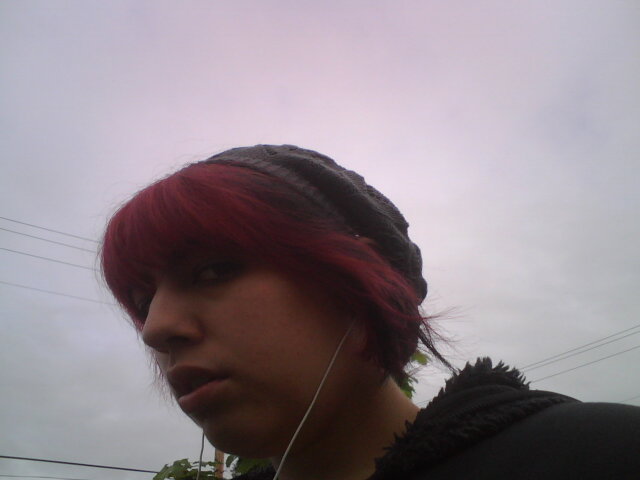 windows_1252bsu1hmdayntiuanbn